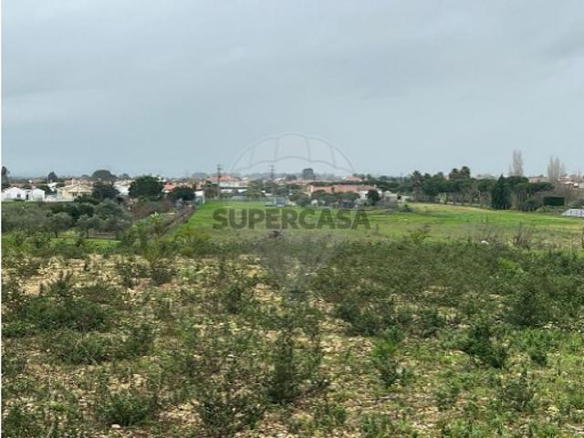Terreno venda em Salvaterra De Magos, Santarém