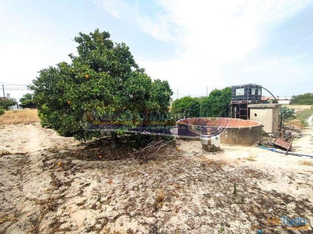 Terreno venda em Salvaterra De Magos, Santarém