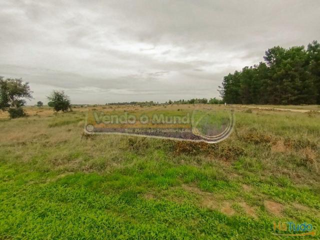 Terreno venda em Salvaterra De Magos, Santarém