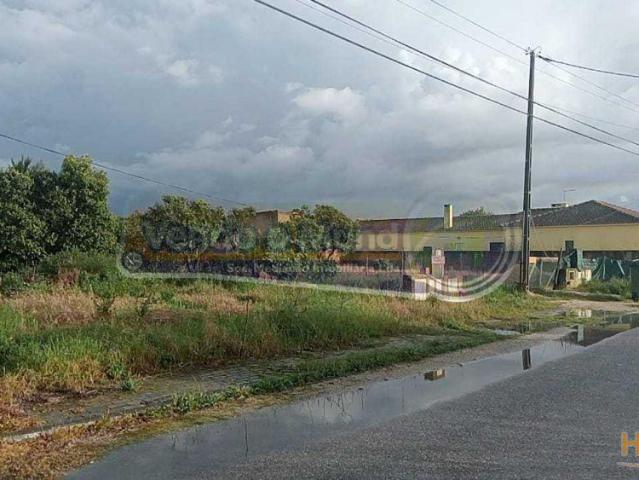 Terreno venda em Salvaterra De Magos, Santarém