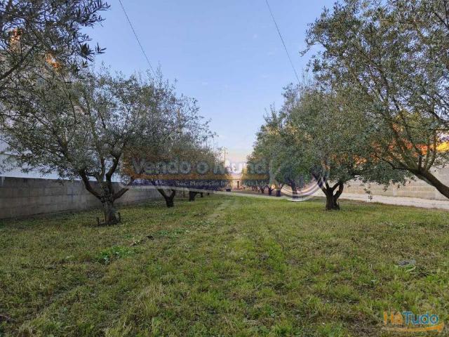 Terreno venda em Salvaterra De Magos, Santarém