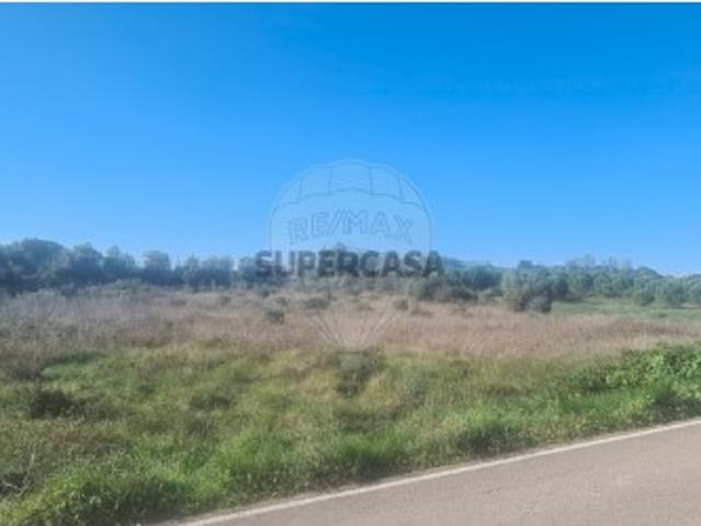 Terreno venda em Rio Maior, Santarém