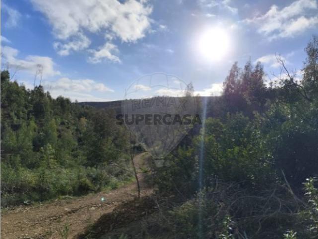 Terreno venda em Monchique, Faro