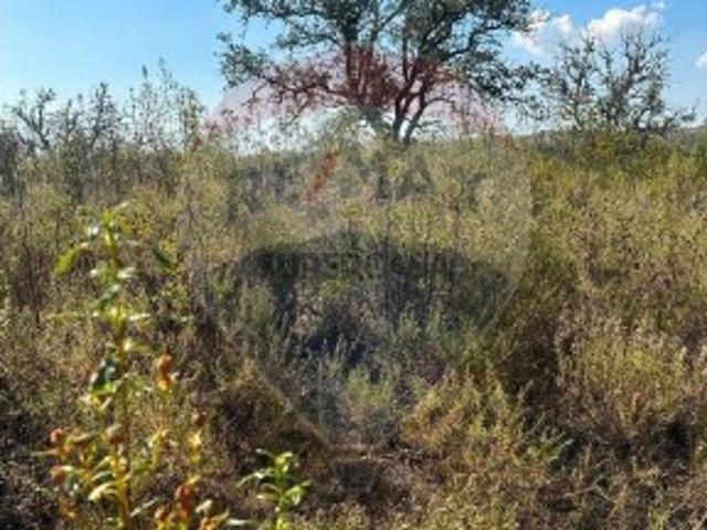 Terreno venda em Martim Longo, Faro