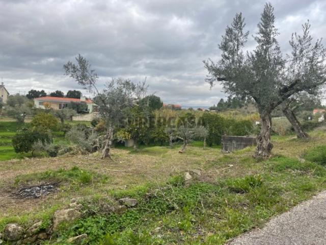 Terreno venda em Abrantes, Santarém