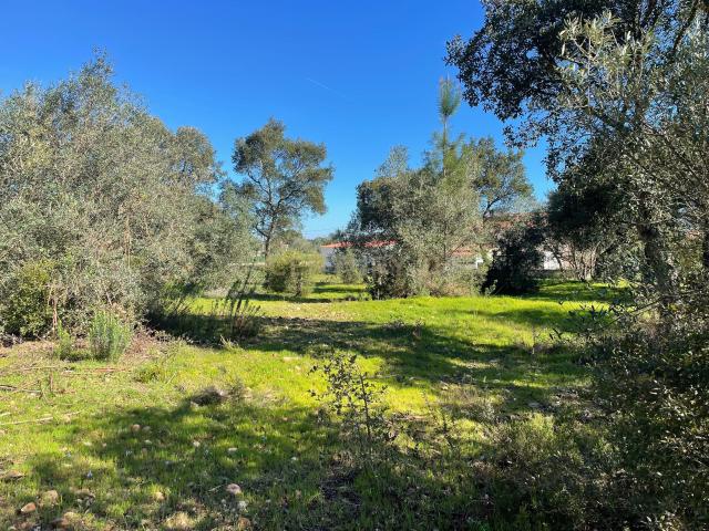 Terreno venda em Abrantes, Santarém
