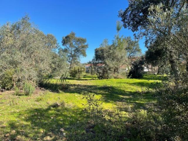 Terreno venda em Abrantes, Santarém