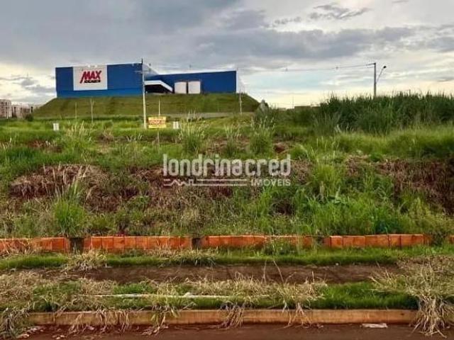 Terreno venda em Região Geográfica Imediata de Londrina, Londrina