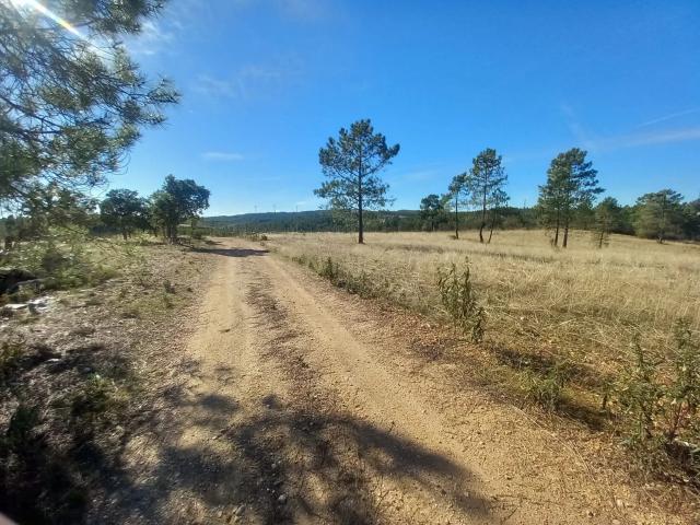 Terreno venda em Castelo Branco