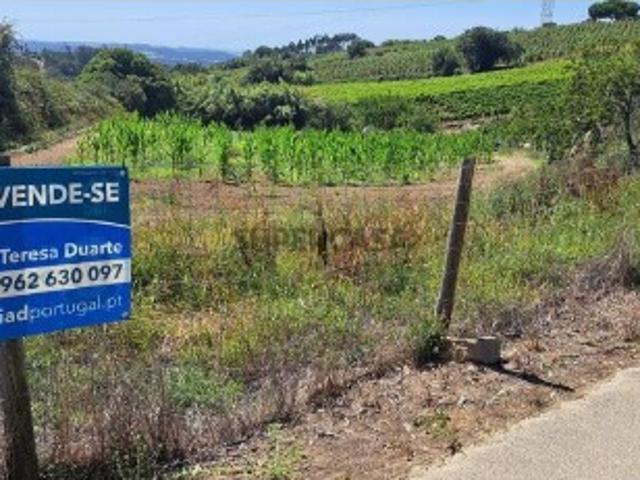 Terreno venda em Loubagueira, Torres Vedras