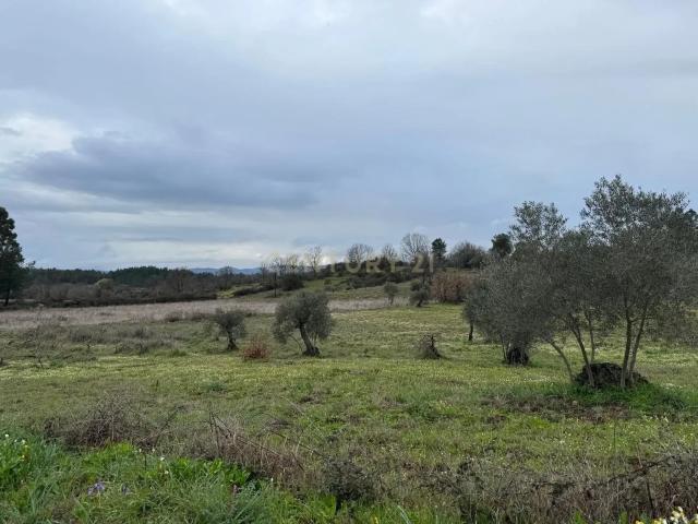 Terreno venda em Castelo Branco, Penamacor