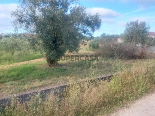 Terreno venda em Pombal, Leiria