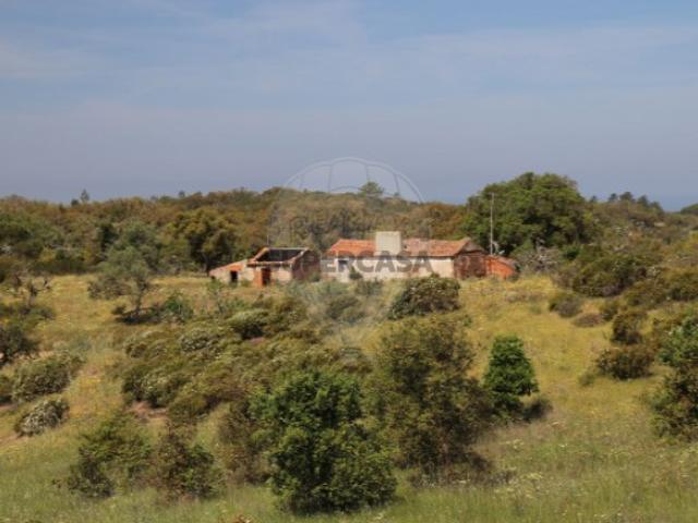Terreno venda em Grândola, Setúbal