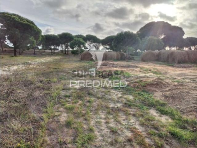 Terreno venda em Grândola, Setúbal