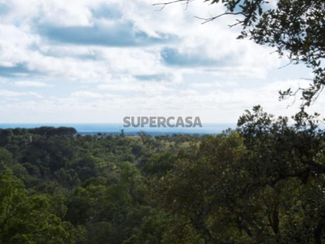 Terreno venda em Grândola, Setúbal