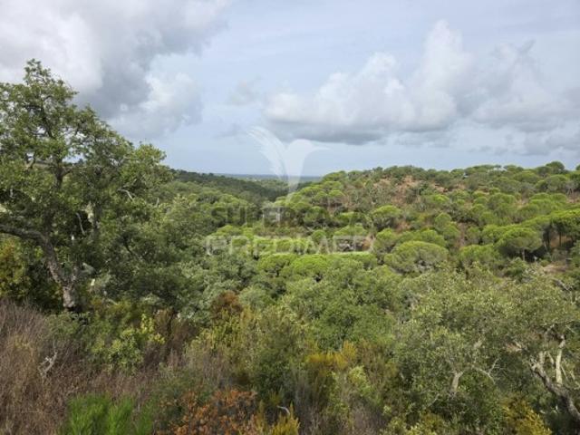 Terreno venda em Melides, Grândola