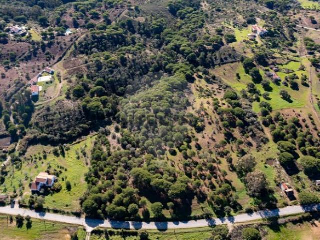 Terreno venda em Grândola, Setúbal