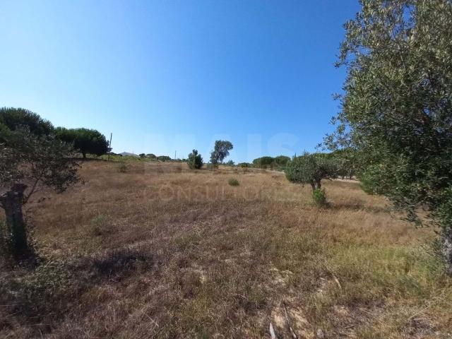 Terreno venda em Grândola, Setúbal