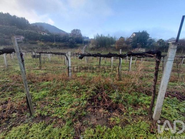 Terreno venda em Monção, Viana Do Castelo