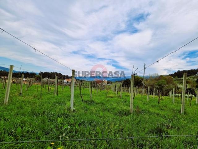 Terreno venda em Monção, Viana Do Castelo