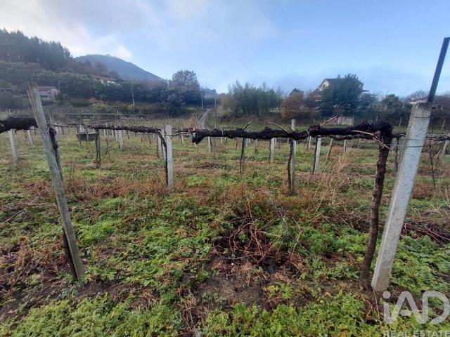 Terreno venda em Bairro Grande e Bairro Pequeno, Melgaço