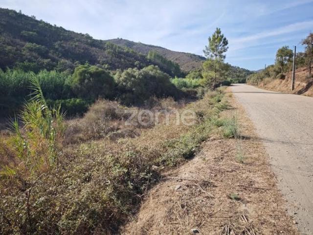 Terreno venda em São Bartolomeu De Messines, Faro