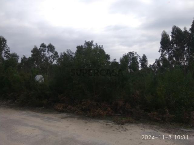 Terreno venda em Mira, Coimbra