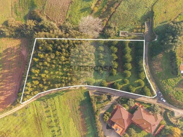 Terreno venda em Lourinhã, Lisboa