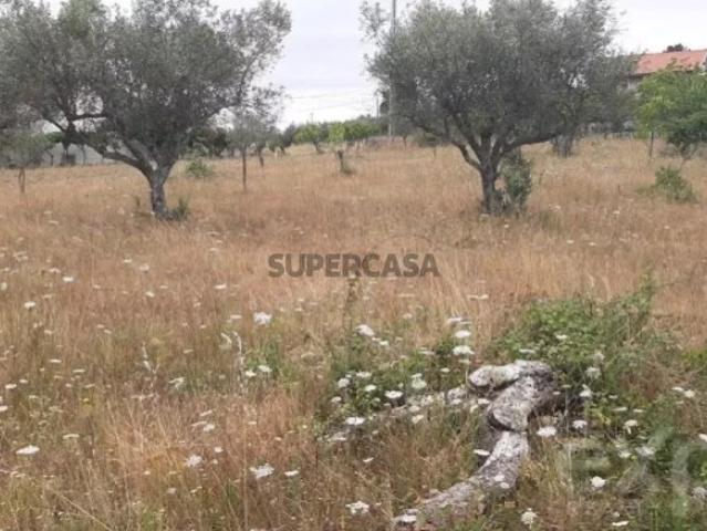 Terreno venda em Mirandela, Bragança
