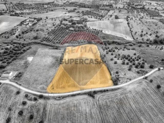 Terreno venda em Santarém
