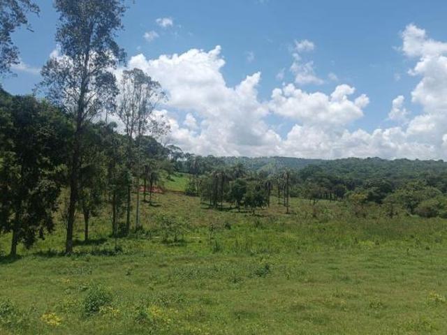 Terreno venda em Região Geográfica Imediata de Belo Horizonte, Moeda