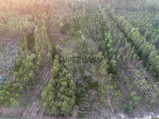 Terreno venda em Moinhos da Gândara, Figueira da Foz