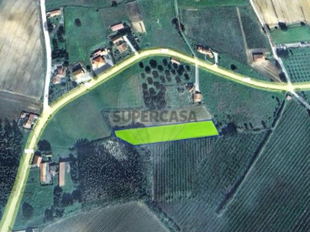 Terreno venda em Lourinhã, Lisboa