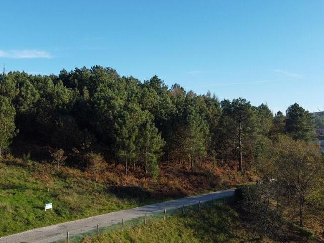 Terreno venda em Casais do Monte, Castro Daire