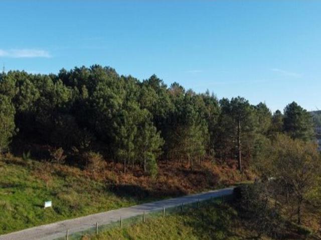 Terreno venda em Casais do Monte, Castro Daire