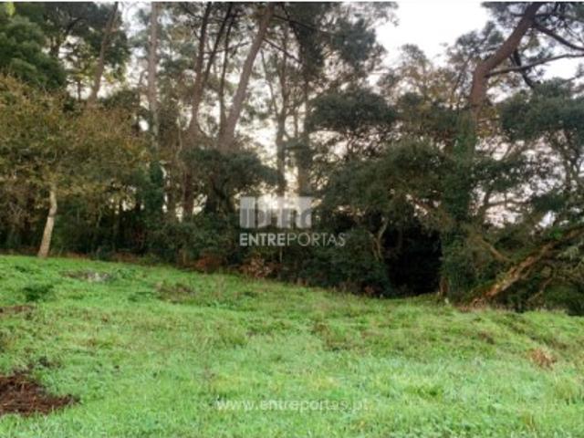 Terreno venda em Arga De Baixo, Viana Do Castelo