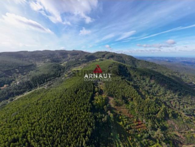 Terreno venda em Monchique, Faro