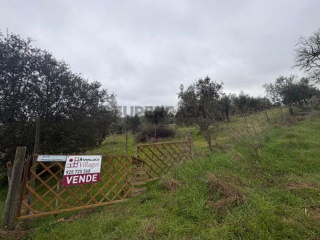 Terreno venda em Monforte, Portalegre