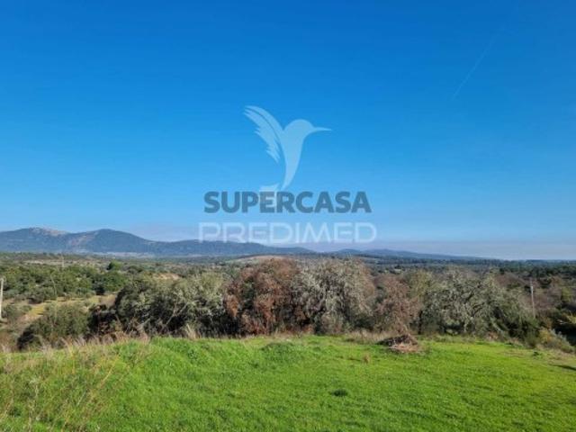 Terreno venda em Castelo Branco, Idanha-a-nova
