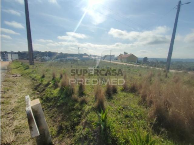 Terreno venda em Alcanena, Santarém