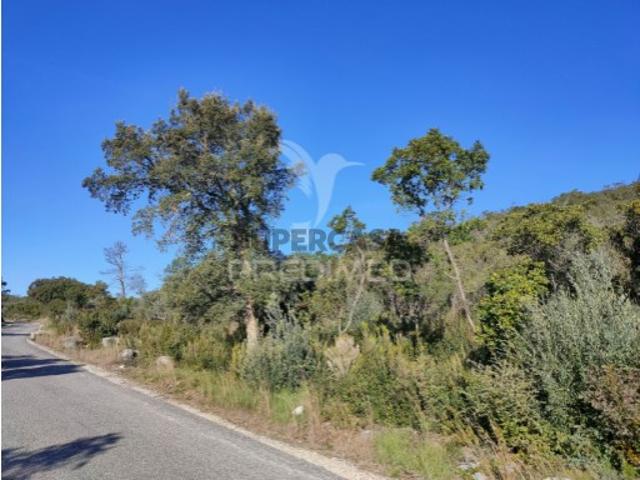 Terreno venda em Alcanena, Santarém