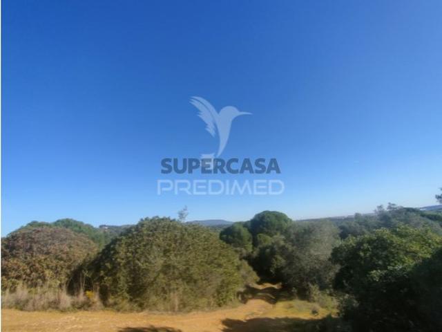 Terreno venda em Alcanena, Santarém