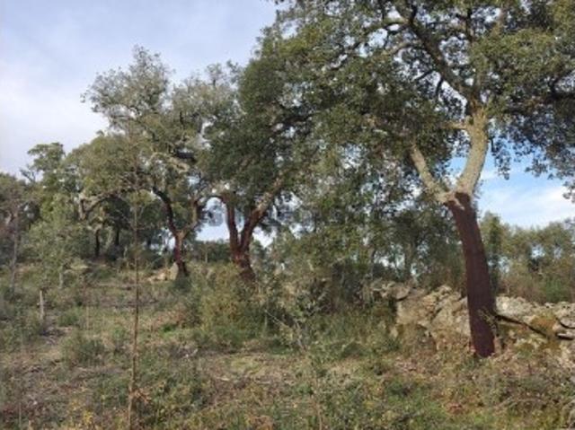 Terreno venda em Castelo Branco, Idanha-a-nova