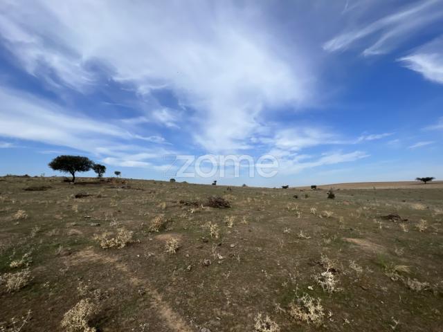 Terreno venda em Reguengos De Monsaraz, Évora