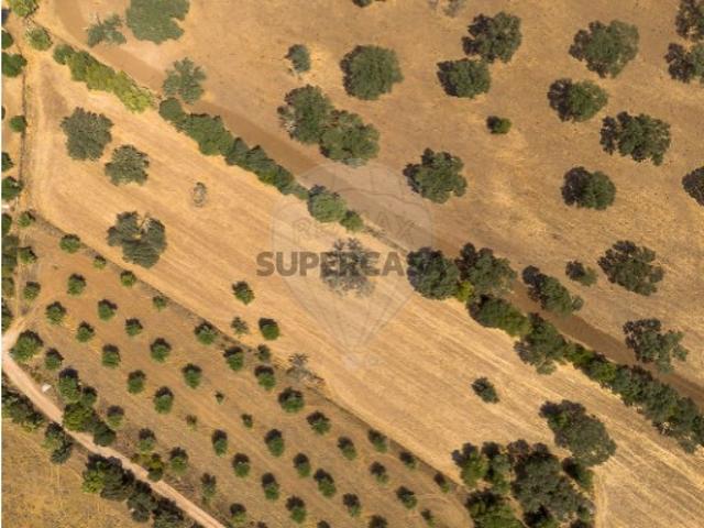Terreno venda em Monsaraz, Reguengos de Monsaraz