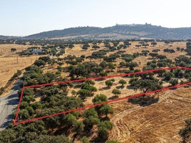 Terreno venda em Aldeia de Outeiro, Reguengos De Monsaraz