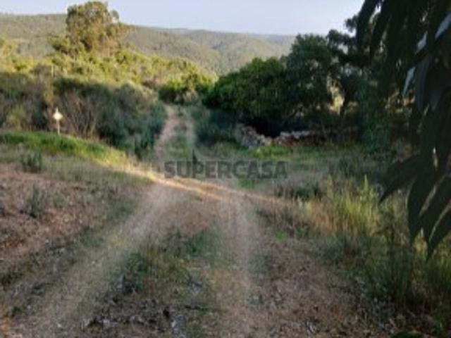Terreno venda em Nisa, Portalegre