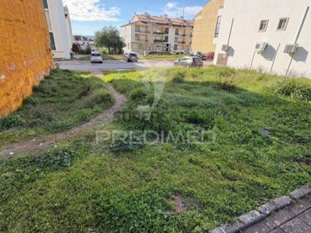 Terreno venda em Constância, Santarém