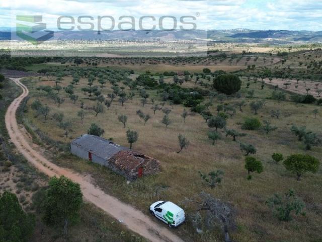 Terreno venda em Castelo Branco, Vila Velha De Ródão