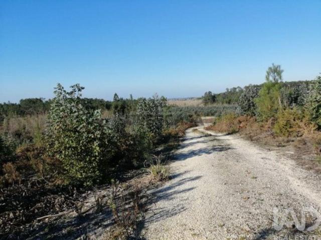 Terreno venda em Caravela, Leiria